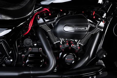 Santoro FabWorx - Chachos - Billet Engine Bolt Kit - BLACK BOLTS